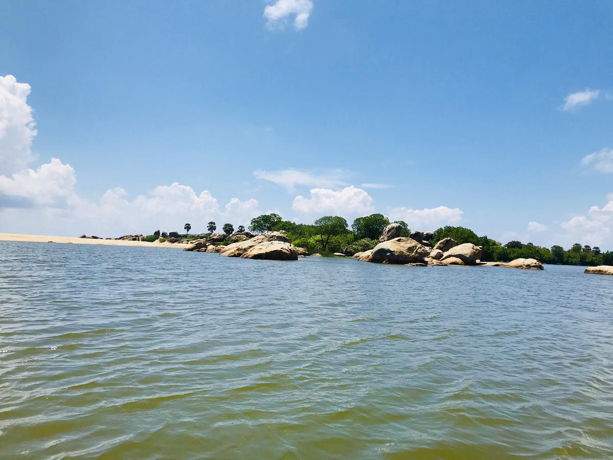 Starfish Beach Bungalows Arugam Bay Zewnętrze zdjęcie