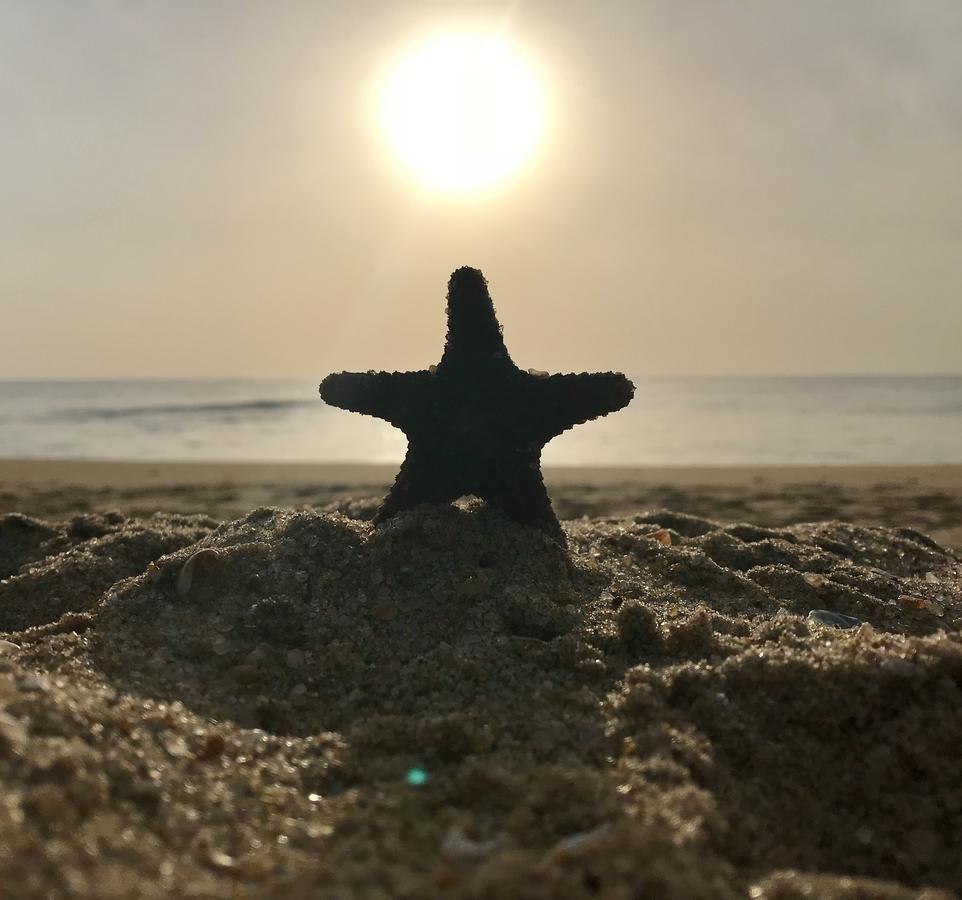 Starfish Beach Bungalows Arugam Bay Zewnętrze zdjęcie